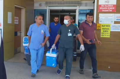 Bursa'da organ bağışı 4 kişiye umut oldu