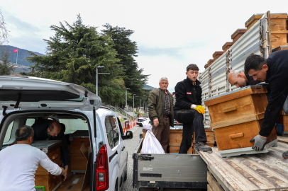 Arıcılık Bursa'da Büyükşehir'le canlandı
