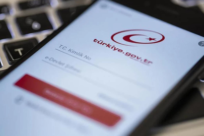 e-Devlet'i kopyalayıp milyonluk vurgun yaptılar!