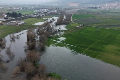 Bursa'da sağanak nedeniyle büyükbaş hayvanlar çiftlikte mahsur kaldı