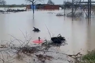 Sağanak Bursa'yı vurdu: Tarlalar göle döndü, hayvanlar mahsur kaldı