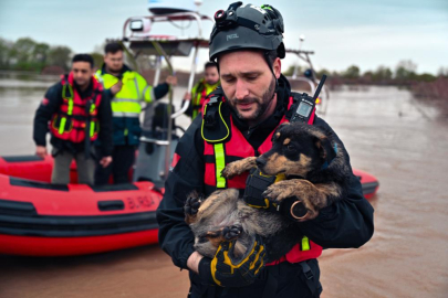 Sular altında kalan bağ evinde mahsur kalan iki köpeği belediye ekipleri kurtardı