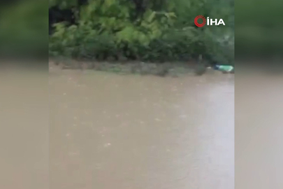 İznik'i sağanak vurdu: Tarım arazileri sular altında kaldı