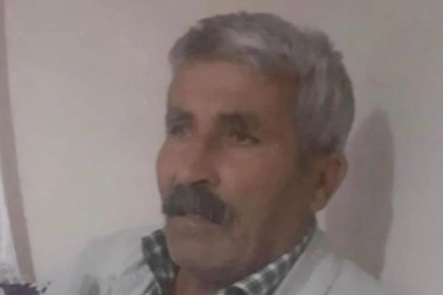 Akılalmaz olay: Kaçan inek, sahibinin ölümüne neden oldu