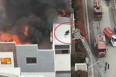 Bursa'da can pazarında korku dolu anlar kameraya yansıdı