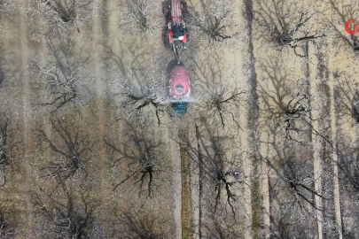 Bursa'da yüzlerce dönüm meyve bahçeleri sular altında kaldı