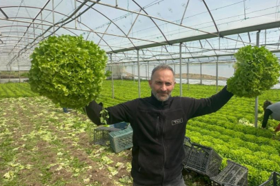 Geçen sene zararıyla ağlatan 'kıvırcık' bu yıl güldürdü