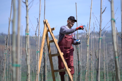 Kestel bahara hazır: Belediye ilçeyi yeşil ve estetik hale getiriyor