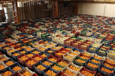 Etikete çözüm dijital hal! 'Tarla-raf' makasını kapatacak formül