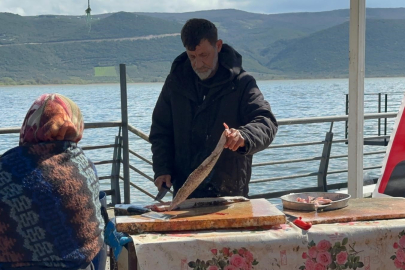 “Uluabat Gölü’nde su arttı, turna azaldı!