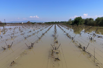 Manisa'da bağlar su altında kaldı