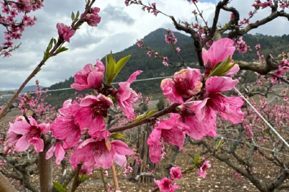 Dünya kayıtlardaki en sıcak dördüncü mart ayını yaşadı