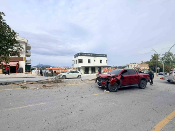 Direksiyon hakimiyetini kaybetti, 2 ağaç ve elektrik direğini yerinden söktü