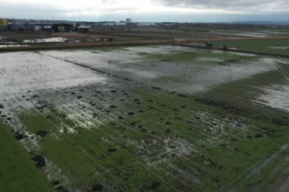 Karacabey Ovası sular altında kaldı