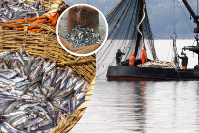 Balıkçılar av sezonunu kapatıyor