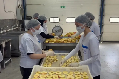 Bursa'da 135 yıllık tarım lisesinde yetiştirilen ürünler tüketiciye ulaşıyor