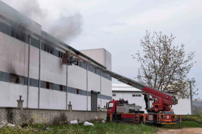 Bursa’da mobilya fabrikasında korkutan yangın