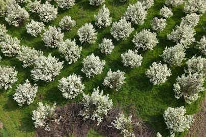 Bursa İnegöl'de kartpostallık görüntüler