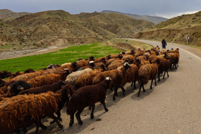 Hayvancılıkta yeni merkez: 784 milyonluk dev yatırım