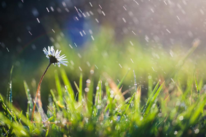 Son yağışlar tabloyu değiştirmedi: Kuraklık sürüyor