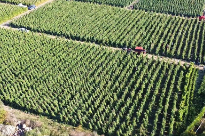 Tarımsal destekleme ödemesi bugün yapılacak