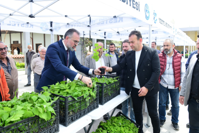 Kestel'de üreticiye 6 bin ahududu fidanı desteği