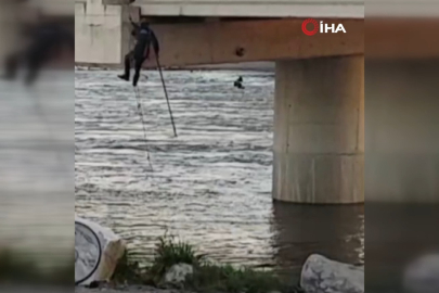 Bursa yürek ısıtan operasyon! Asılı kalan güvercin kurtarıldı