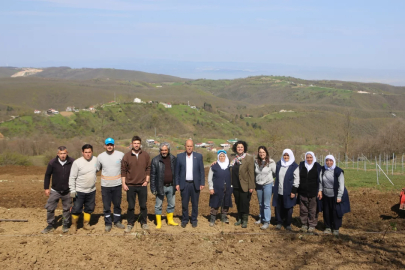 Nilüfer'de atıl araziler bereketleniyor