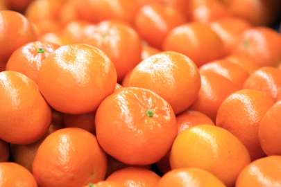 Turunçgil ihracatı 697,7 milyon dolara ulaştı