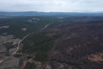 Bursa'da yeşil seferberlik: Yanan 4.240 hektarlık alan yeniden hayat buluyor