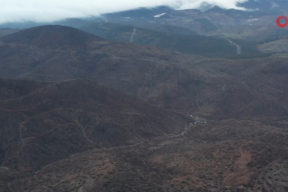 Bursa'da yeşil seferberlik: Yanan 4.240 hektarlık alan yeniden hayat buluyor