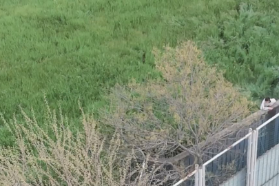 Bursaspor’dan minik taraftarlara anlamlı jest