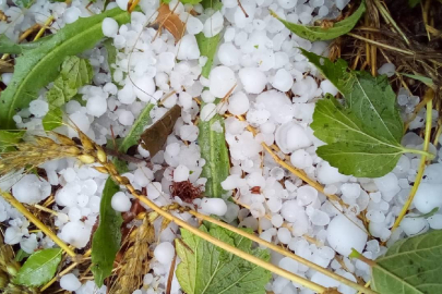 Mayıs ve haziranda dolu riski artıyor