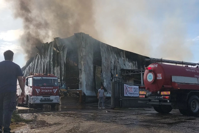 Antalya'da patates cipsi üretim tesisinde çıkan yangın söndürüldü