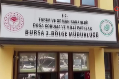 Bursa’da kaçak avcılara şafak operasyonu!