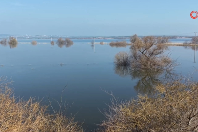 Bursa’da çiftçiye müjde! Karacabey’de çeltik ve ikinci ürün yasağı kaldırıldı