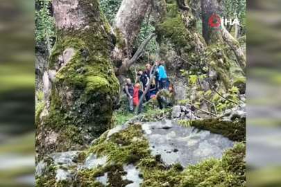 Bursa'da feci son! Kalp krizi geçirip dereye düştü