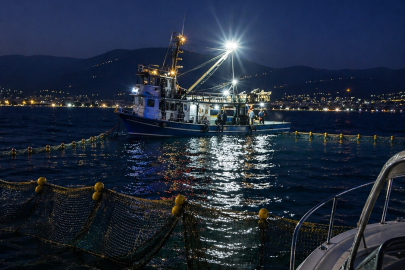 Gemlik Körfezi'nde sardalya avcılığı başladı
