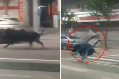 Domuz dehşeti: Yayaya çarpıp yaraladı, trafiğin altını üstüne getirdi