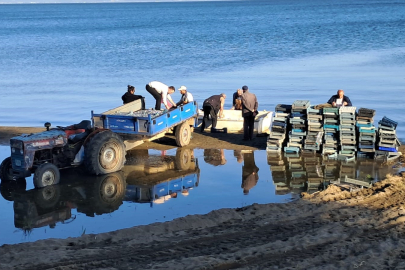 İznik Gölü’nde bereketli sezon...Gümüş balığında yüzler gülüyor