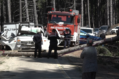 Bursa'da kesilen ağaç seyir halindeki kamyonetin üzerine devrildi: 1 ölü