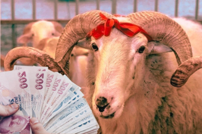 Kurban Bayramı ikramiyesi belli oldu! Bakan Işıkhan açıkladı