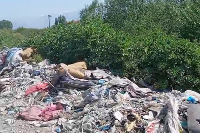 Bursa’da çevre kirliliği tepkisi! Samanlı Deresi çöplüğe döndü