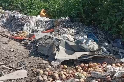 Bursa’da çevre kirliliği tepkisi! Samanlı Deresi çöplüğe döndü