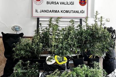 Osmangazi'de uyuşturucu operasyonu: 1 şüpheli tutuklandı