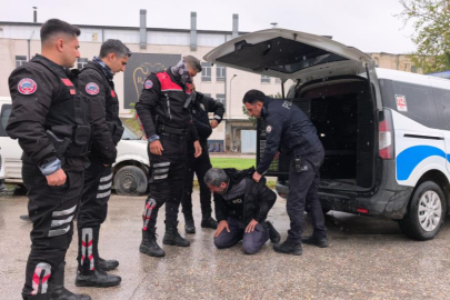 Ehliyetsiz sürücü zorluk çıkarınca biber gazı yedi