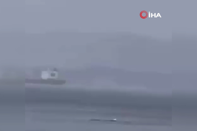 Yunus ailesi Mudanya'da yağmur altında görüntülendi
