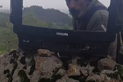 Güldüren görüntü: Keçilerini otlatırken hava durumu sundu