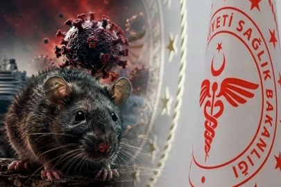 Sağlık Bakanlığından 'hantavirüs' açıklaması: Türk vatandaşların test sonuçları negatif