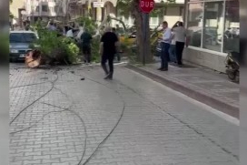 Bursa’da seyir halindeki araçların üzerine ağaç devrildi… 1 kişi yaralandı